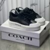 Coach Plataforma